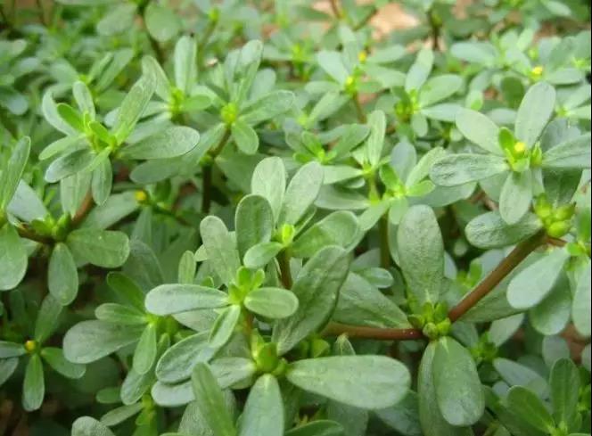 15538459008795663C0e.jpg 6.jpg