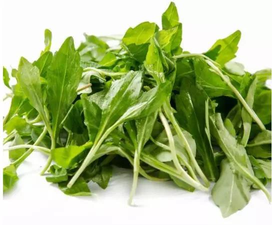 1553845937161097xKk3.jpg 7.jpg