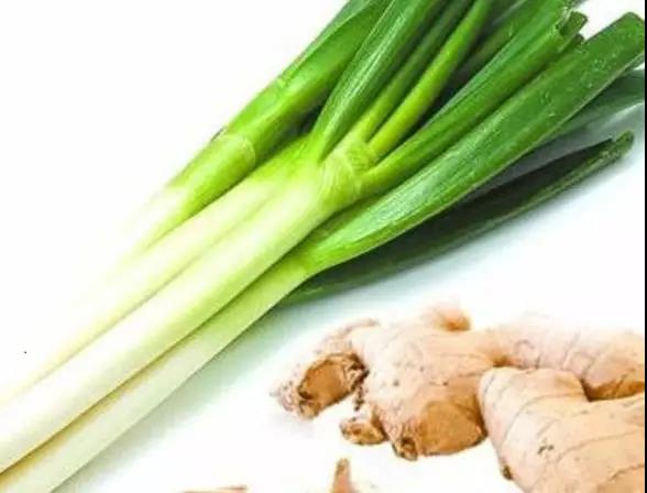 1553845976767263o147.jpg 9.jpg