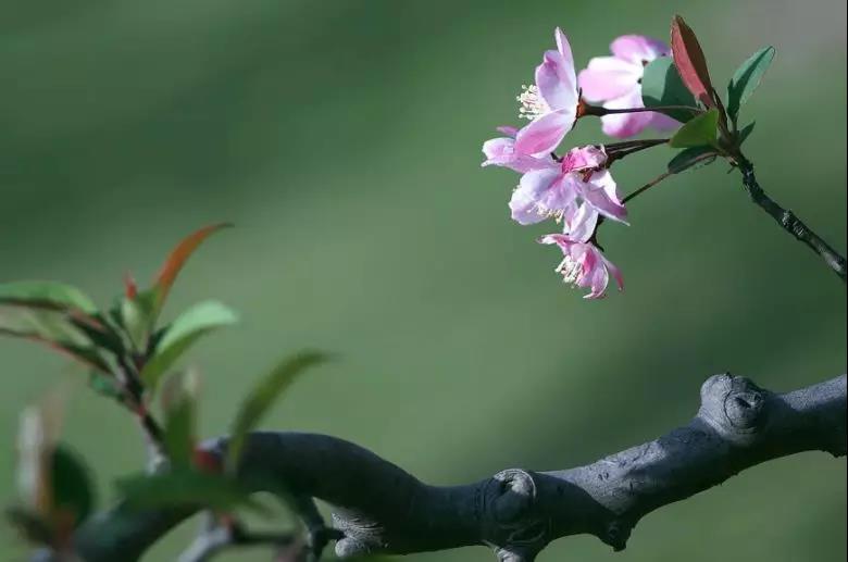 1553845996533728pZLB.jpg 10.jpg