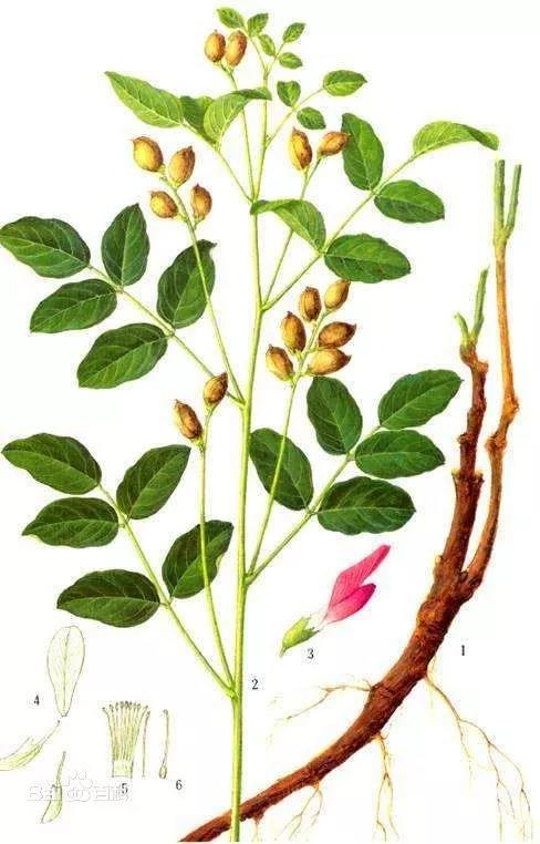 15547791015920691ybo.jpg 8.jpg